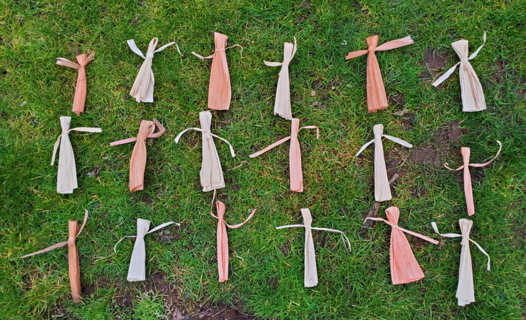 Eighteen cornhusk dolls lay on grass. Half of them are dyed slightly pink, the rest are plain. They alternate by color.