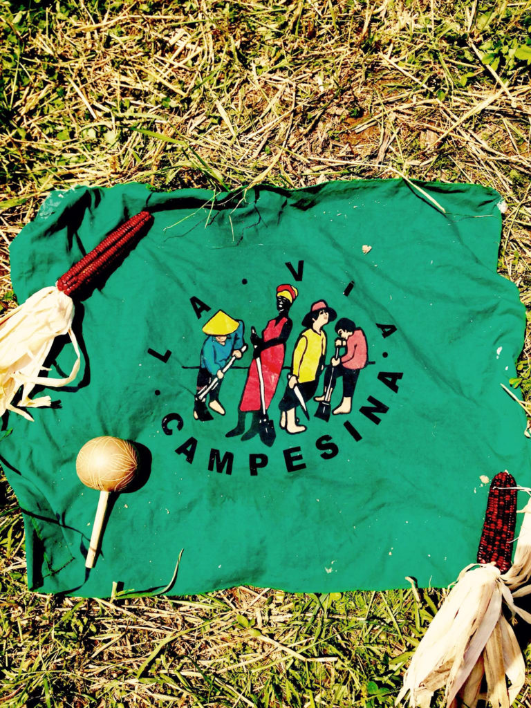 "La Via Campesina" logo printed on green cloth rests on yellow-green grass. Two ears of red corn sit atop the green cloth in the upper left and bottom right corners.