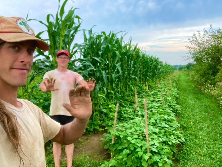 Two people standing in a farm field