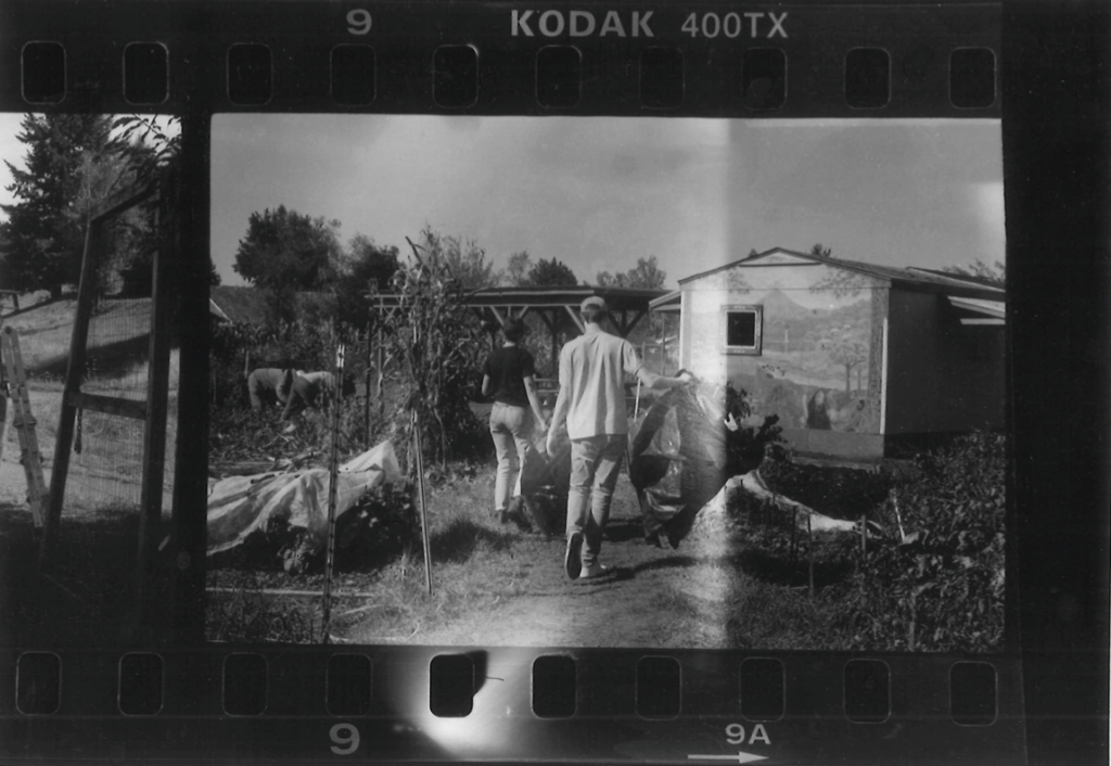 black and white film photo of two people walking down a path between garden beds